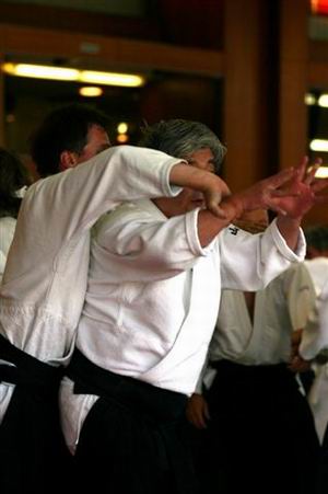 stage d'aikido en suisse à Lausanne