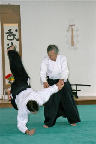aikido_technique